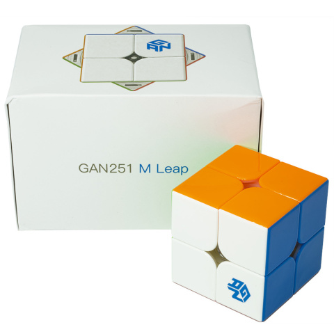 GAN 251 M Leap 2x2