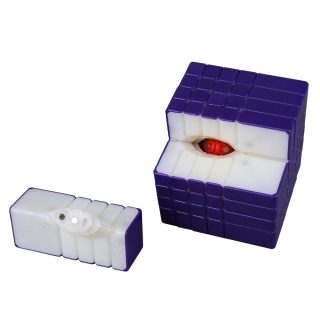 DianSheng Galaxy 5x5 Magnetic Mirror Purple