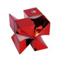 DianSheng Twisty 2x2 Metallic Red